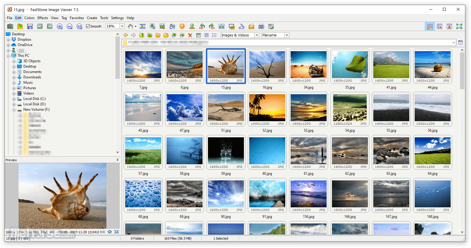 download faststone image viewer